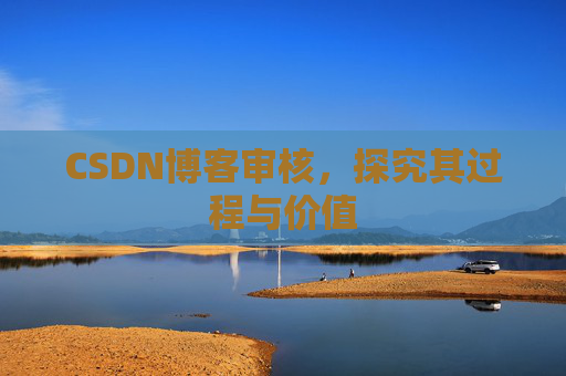 CSDN博客审核,探究其过程与价值